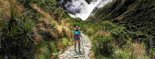 jungle-machu-picchu