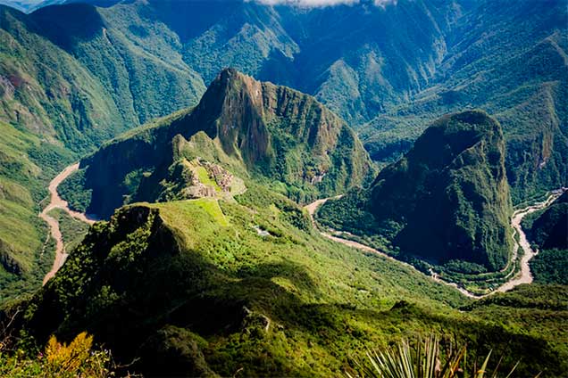 selva-machu-picchu