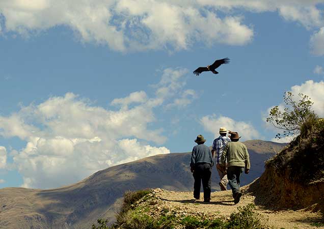 chonta-limatambo-mirador-condor-cusco