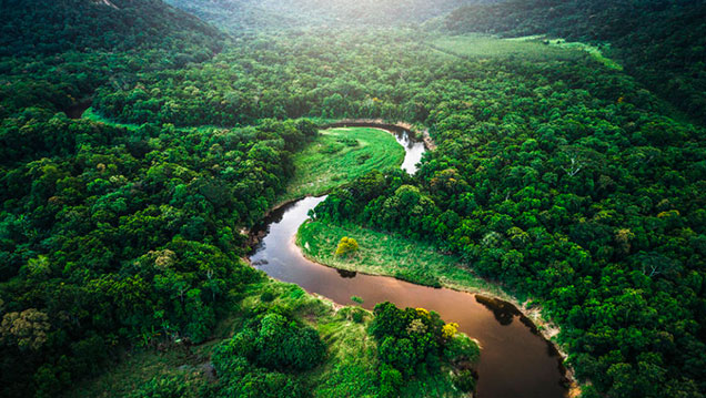 amazonas