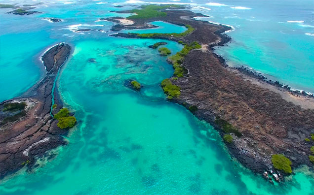 islas-galapagos-tour-sudamerica