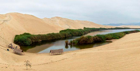 Laguna de Morón, un oasis en medio del desierto de Pisco