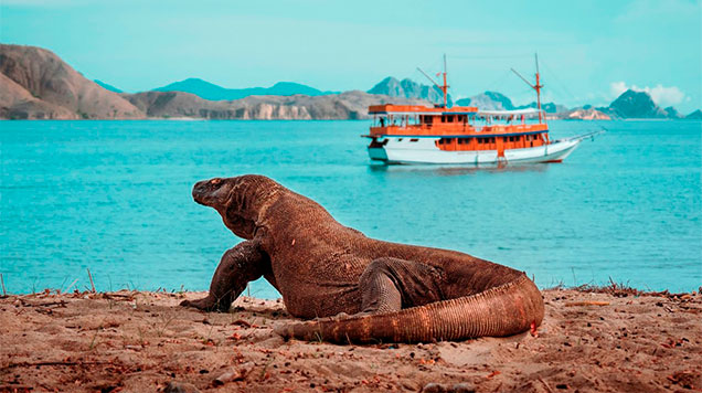 komodo-indonesia-maravilla-natural-tour