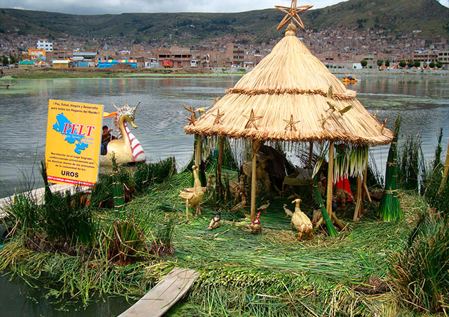 nacimiento-puno