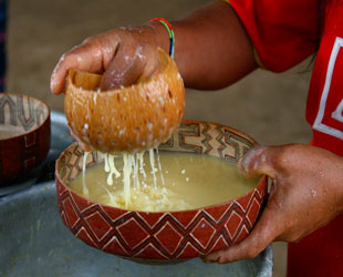 Bebida típica de Ucayali