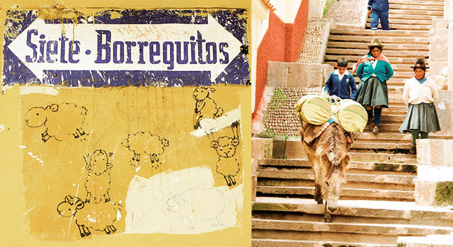 7-borreguitos-cusco-calles