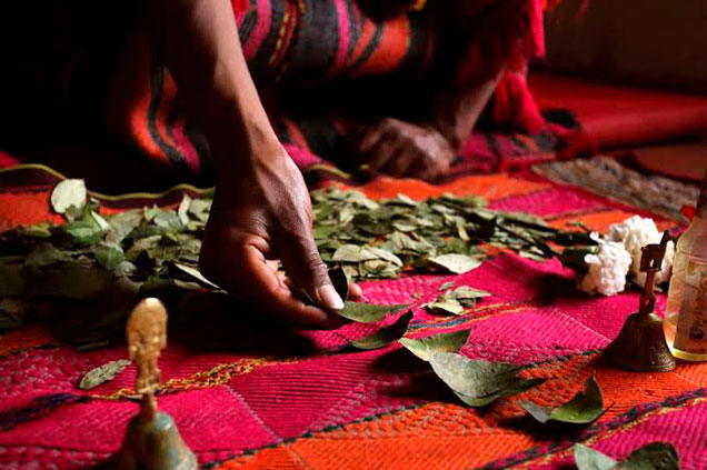 lectura-coca-peru