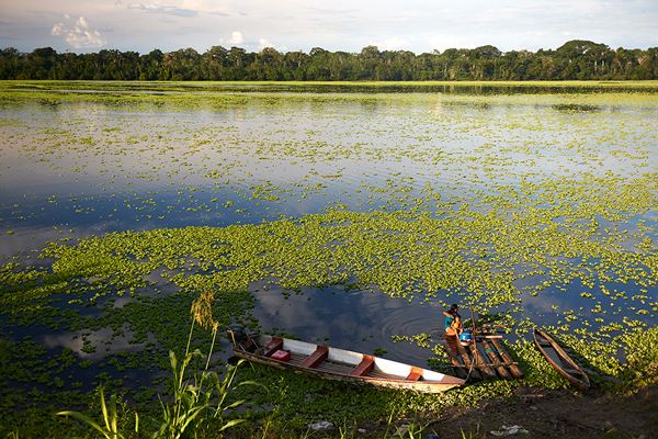 reserva nacional de pacaya samiria