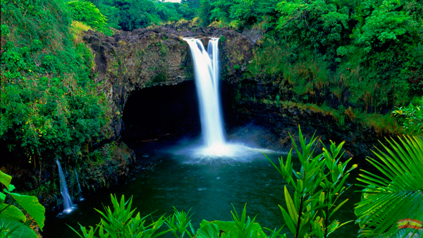 reserva nacional de pacaya samiria