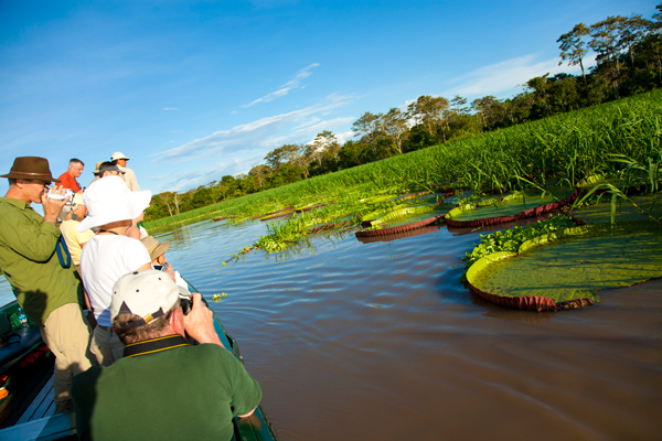 reserva nacional de pacaya samiria