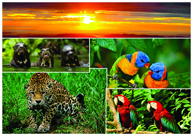 Parque Nacional y Reserva de la Biosfera del Manú